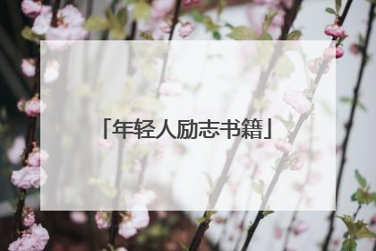 年轻人励志书籍