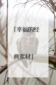 幸福的经典素材
