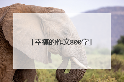 幸福的作文800字