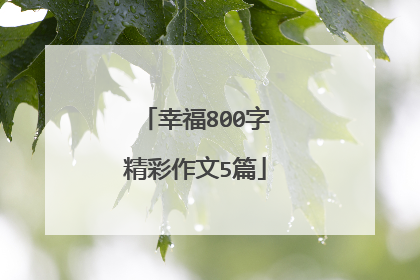 幸福800字精彩作文5篇