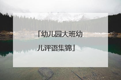 幼儿园大班幼儿评语集锦