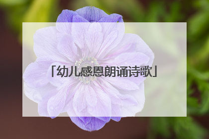 幼儿感恩朗诵诗歌