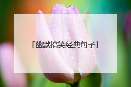 幽默搞笑经典句子