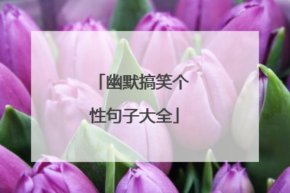 幽默搞笑个性句子大全