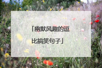 幽默风趣的逗比搞笑句子