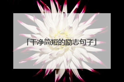 干净简短的励志句子
