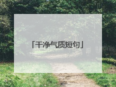 干净气质短句