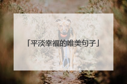 平淡幸福的唯美句子