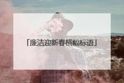 廉洁迎新春横幅标语