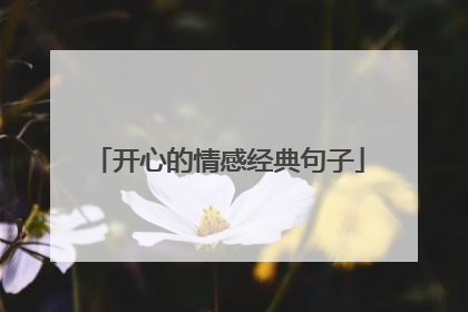 开心的情感经典句子