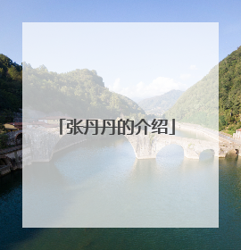 张丹丹的介绍