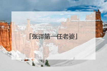 张译第一任老婆