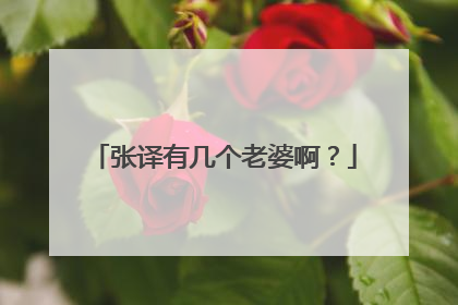 张译有几个老婆啊?