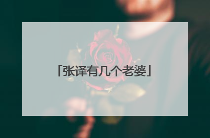 张译有几个老婆