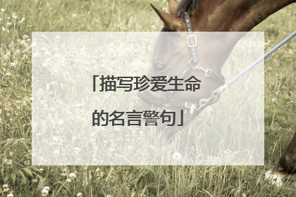 描写珍爱生命的名言警句