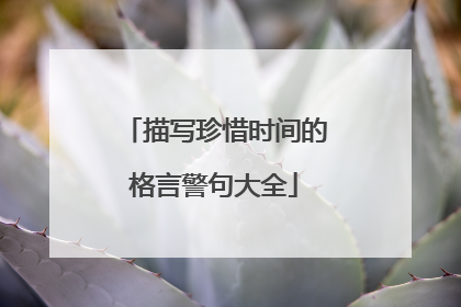 描写珍惜时间的格言警句大全