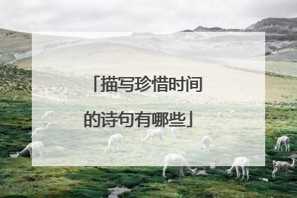 描写珍惜时间的诗句有哪些