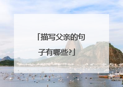 描写父亲的句子有哪些?