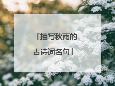 描写秋雨的古诗词名句