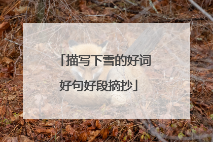 描写下雪的好词好句好段摘抄