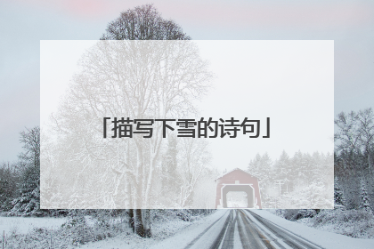 描写下雪的诗句