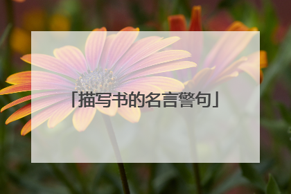 描写书的名言警句