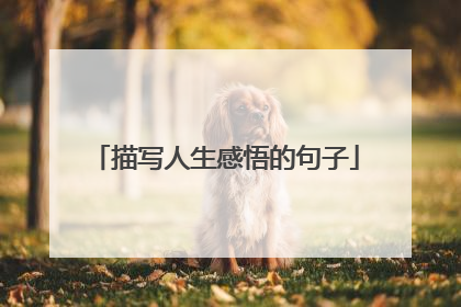 描写人生感悟的句子
