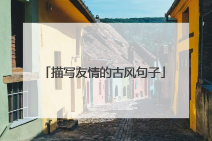 描写友情的古风句子