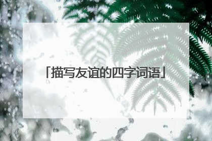 描写友谊的四字词语