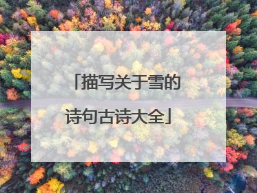 描写关于雪的诗句古诗大全
