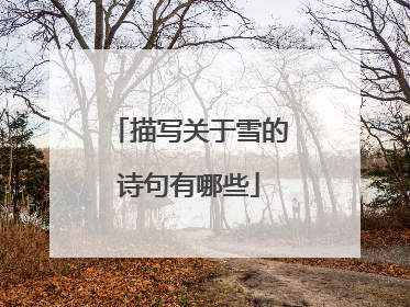 描写关于雪的诗句有哪些