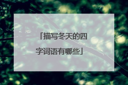 描写冬天的四字词语有哪些