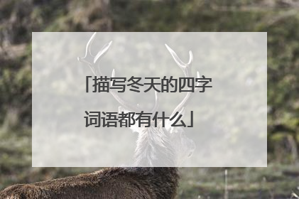 描写冬天的四字词语都有什么