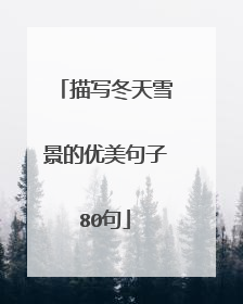 描写冬天雪景的优美句子80句