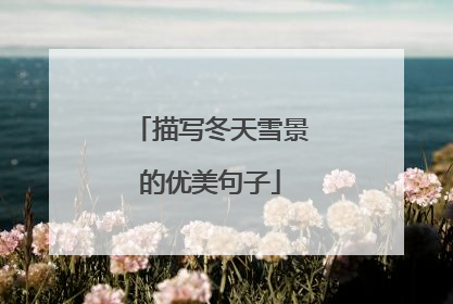描写冬天雪景的优美句子