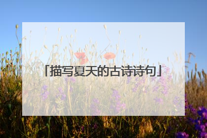 描写夏天的古诗诗句