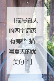 描写夏天的四字词语有哪些 描写夏天的优美句子