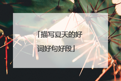 描写夏天的好词好句好段