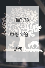 描写感恩母亲的诗句
