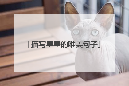 描写星星的唯美句子