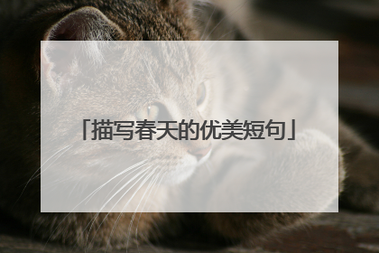 描写春天的优美短句