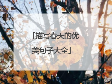 描写春天的优美句子大全