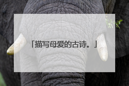 描写母爱的古诗。