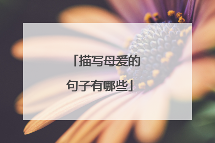描写母爱的句子有哪些