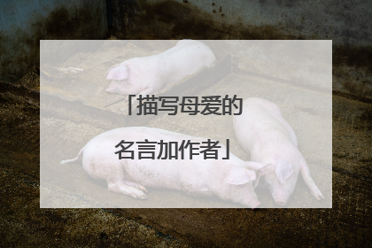 描写母爱的名言加作者