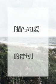 描写母爱的诗句