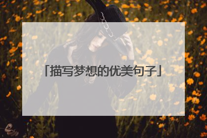 描写梦想的优美句子