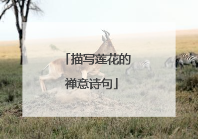 描写莲花的禅意诗句