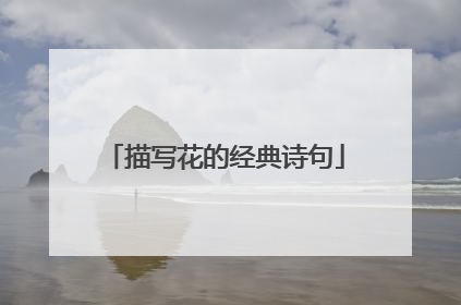 描写花的经典诗句
