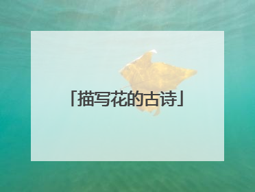 描写花的古诗
